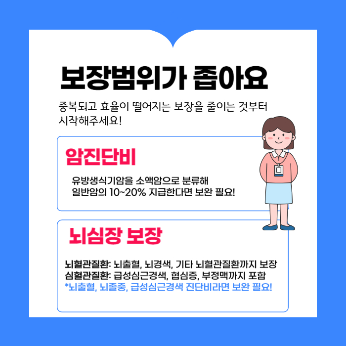 보험분석 보장범위